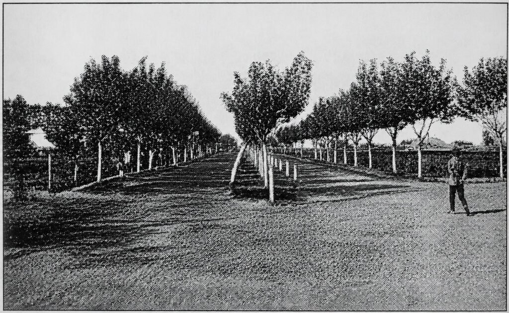 villanueva