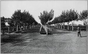 villanueva