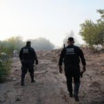 La Justicia ordenó una probation para el dueño de la chanchería